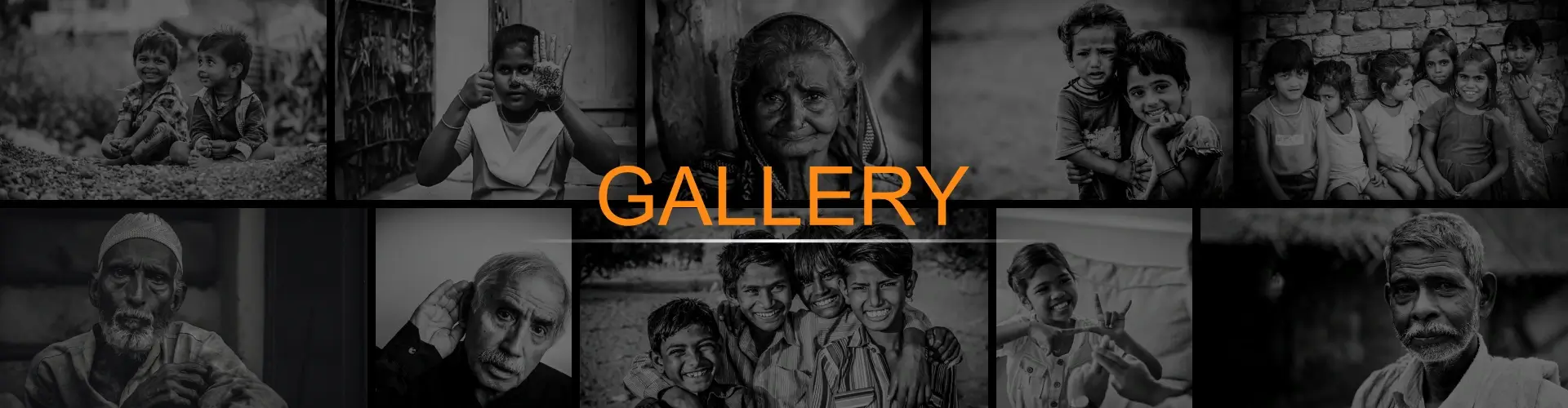 Explore Our Gallery